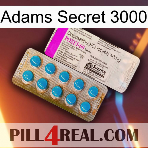 Adams Secret 3000 new07.jpg